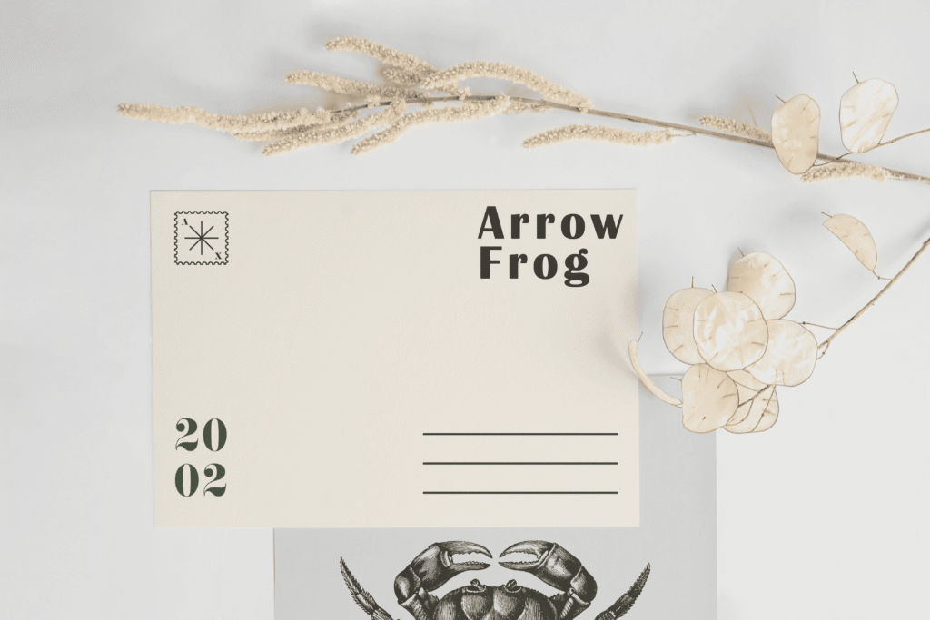 Cartolina grafica progettata da Arrowfrog Studio per comunicazione e branding